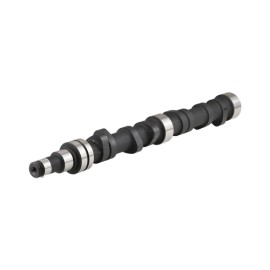 ÁRBOL DE LEVAS PARA BUZO MECÁNICO  56-S795A SPQ