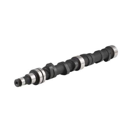 ÁRBOL DE LEVAS PARA BUZO MECÁNICO  56-S795A SPQ