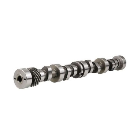 ÁRBOL DE LEVAS PARA BUZO DE RODILLO HIDRÁULICO  56-S2325A SPQ